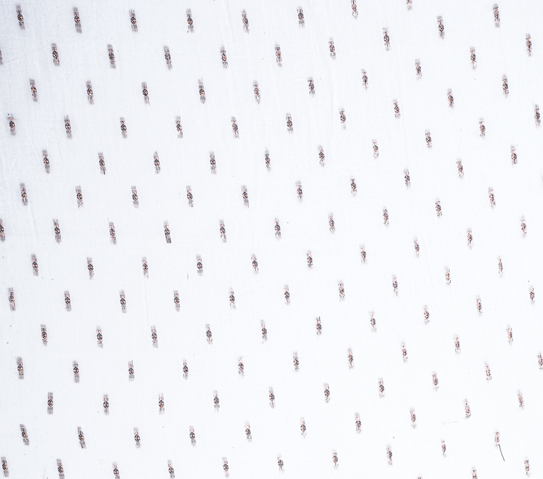 ROBE CHEMISE RUBIS - 05SW387-005